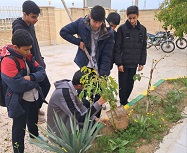 کاشت نهال روز درختکاری